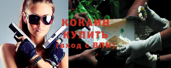 меф Няндома