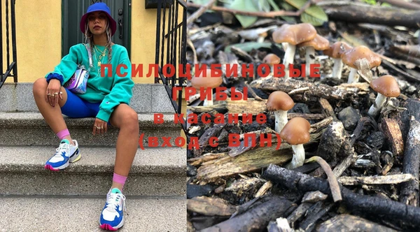 меф Няндома