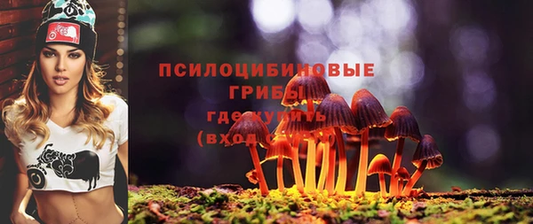 меф Няндома